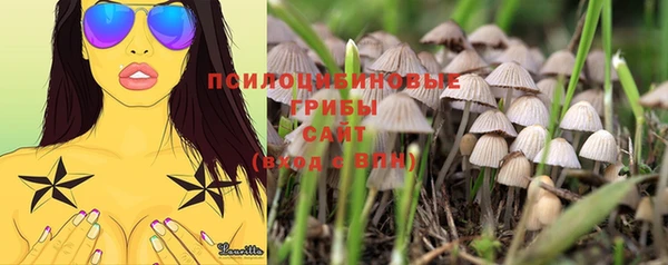 дурь Абаза